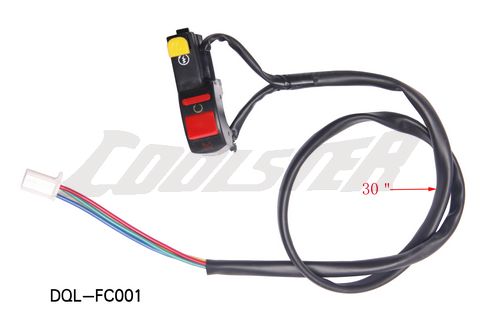 SWITCH 216 (SW-12) (DQL-FC001)
