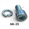NB-25 - DD-NL-D003 - Nut and Bolt for 125cc Brake and Carrier Hub
