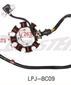 Alternative view of Alternator, Stator, Magneto for 200cc/250cc (ALT-5) (LPJ-BC09)