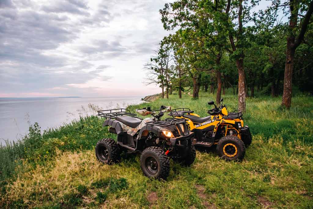 ATVs in the woods