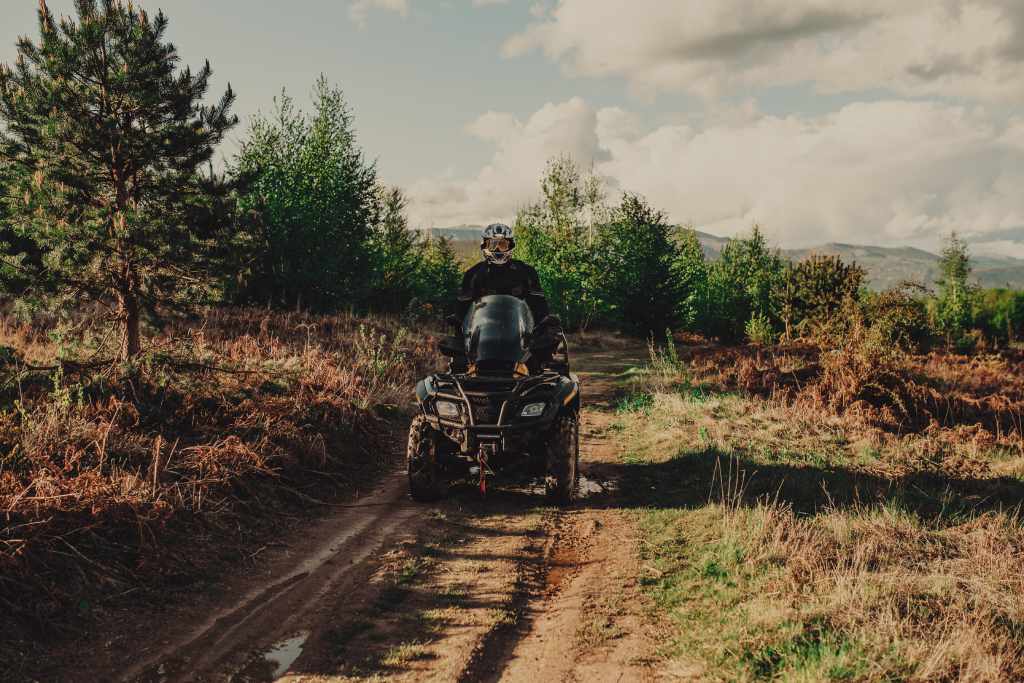 Quads in nature
