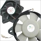 Fan