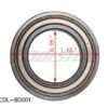 BEARING 6905 (BE6905) (CDL-BD001)