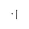 A black screw and nut on a white background.