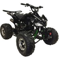 A black atv on a white background | ATV-3125CX3