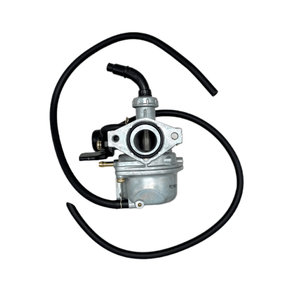 Carburetor PZ19 (CA-4) (FDJ-PZ004)