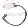 A diagram for a Ignition Coil 3300 (DQL-GY006) wiring.