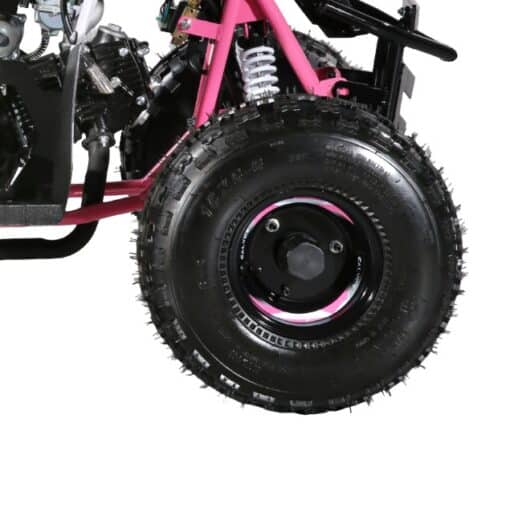 Decal for 3050B2 6 inch Rim ATV (STI-19) (BZB-EA068) - Image 2